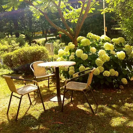 Apartmenthaus Menge Bad Schandau Zewnętrze zdjęcie