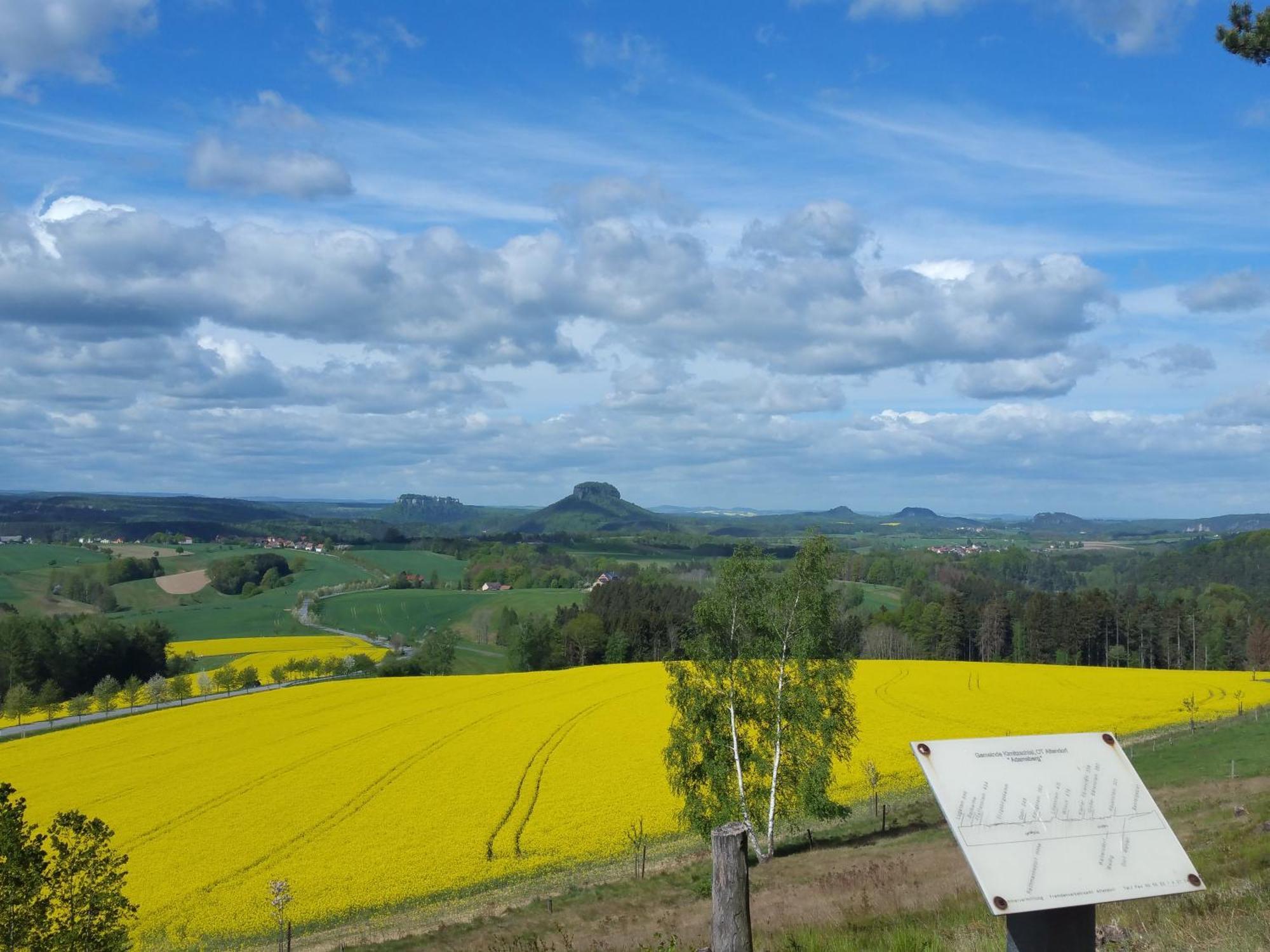 Apartmenthaus Menge Bad Schandau
